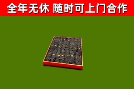 平坝区回收海参